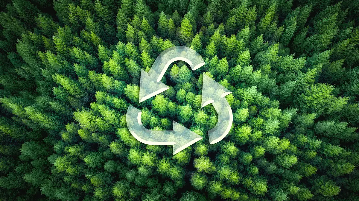 Chinese companies support Malaysia&#039;s green