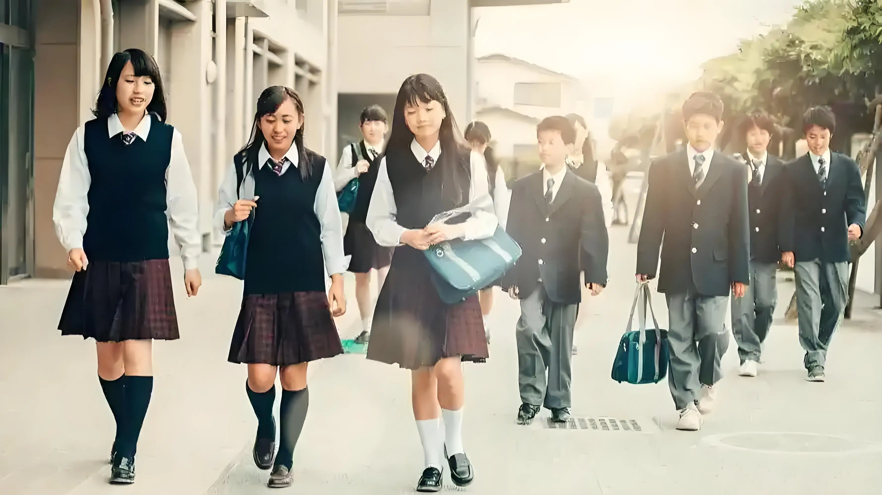 <strong>Over 300000 Japanese primary and secondary school s</strong>
