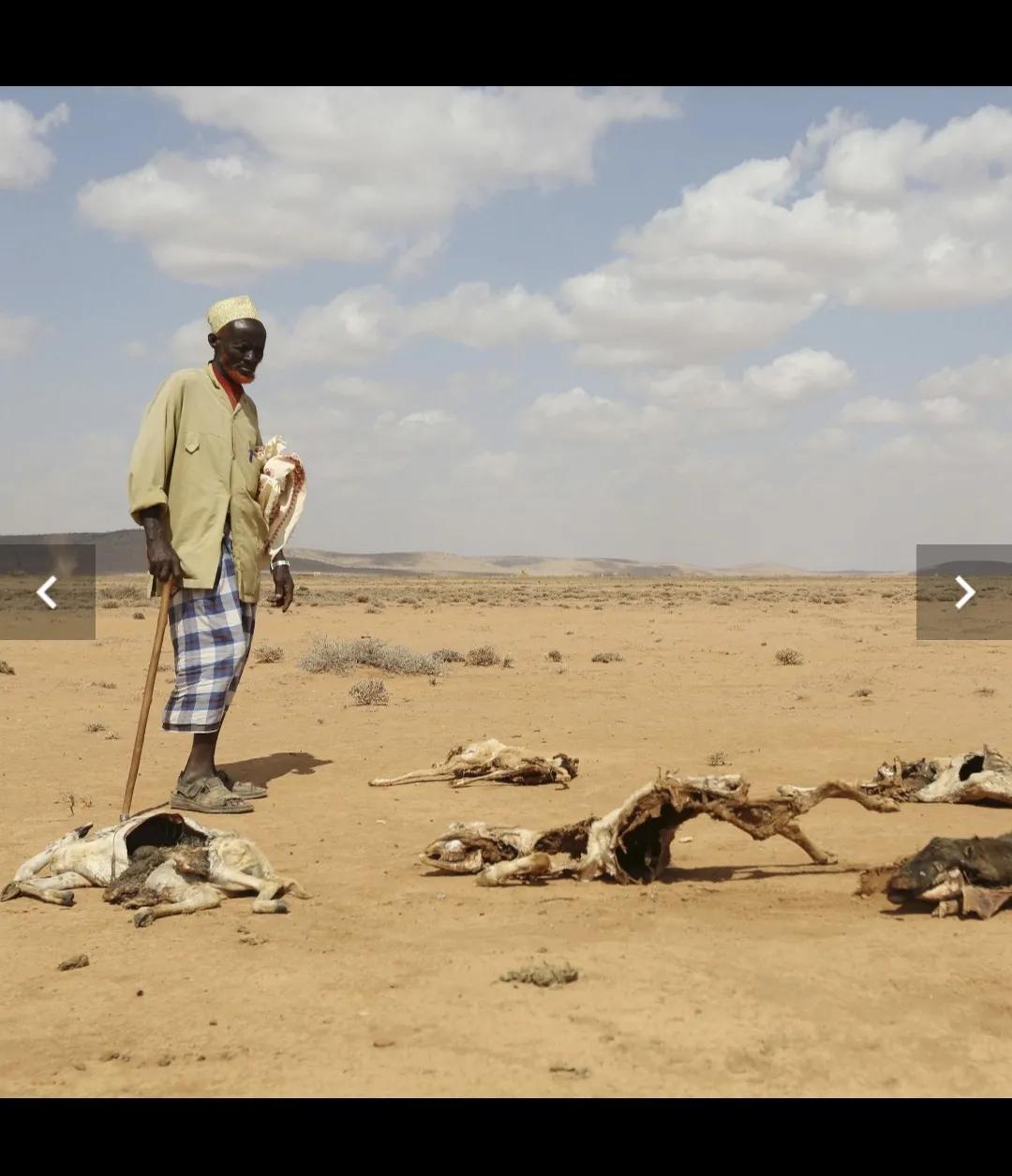 World Food Programme: Millions of people in Somalia